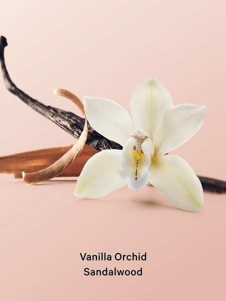 Скраб для тіла Vanilla Orchid Sandalwood Whipped Body Scrub KS.102 фото