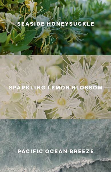 Лосьйон для тіла Coastal Blooms Fragrance Lotion KS.214 фото