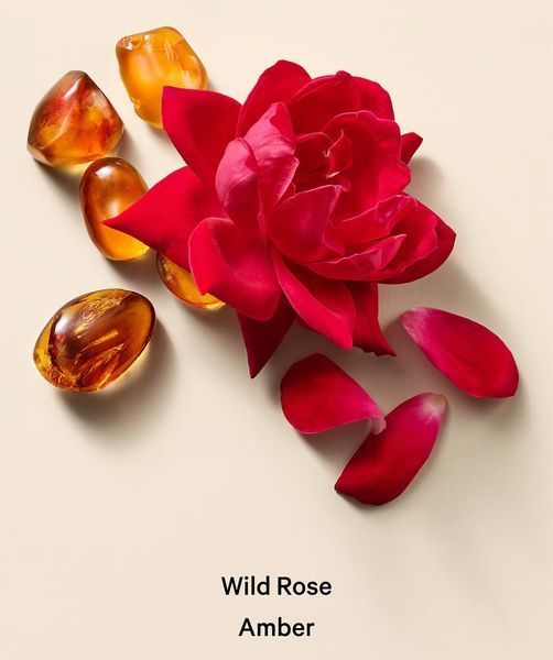 Скраб для тіла Wild Rose Amber Whipped Body Scrub KS.236 фото