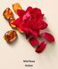 Скраб для тіла Wild Rose Amber Whipped Body Scrub KS.236 фото 2