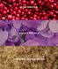 Спрей для тіла Sweet Sugared Violet Fragrance Mist KS.154 фото 2
