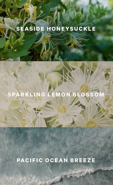 Спрей для тіла Coastal Blooms Fragrance Mist KS.208.15 фото