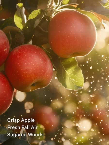 Спрей для тіла Dreamy Apple Orchard KS.114.15 фото