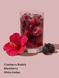 Спрей для тіла Festive Fizz Fragrance Mist KS.083 фото 2