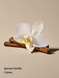 Баттер для тіла Spiced Vanilla Creme Shimmer Body Butter KS.092 фото 2